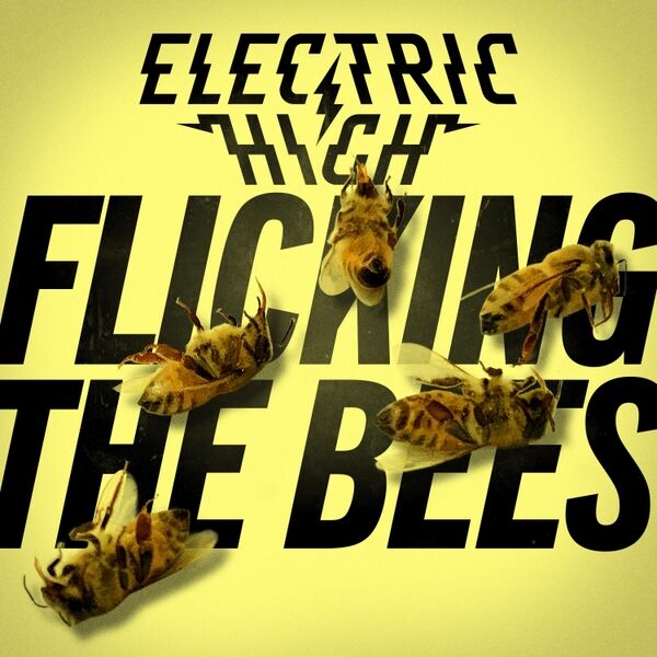 Cover art for Flicking The Bees